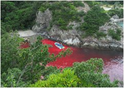 Click on image to see full-sized version Bloody Cove