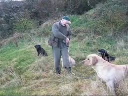 Click on image to see full-sized version Fieldsport "conservation"