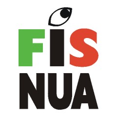 Click on image to see full-sized version Fís Nua Logo
