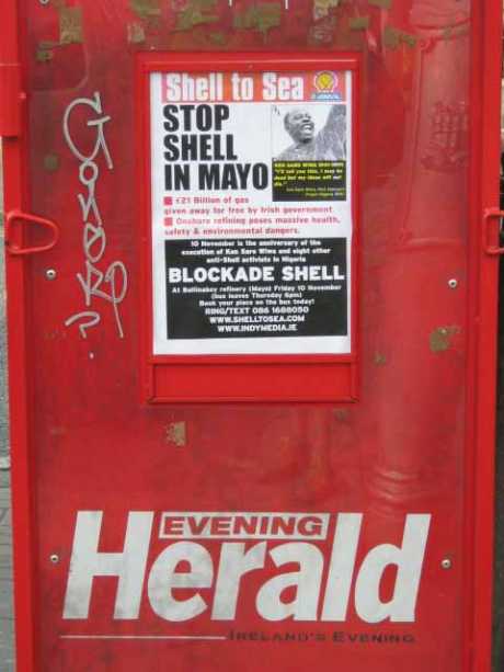 evening_herald_1.jpg