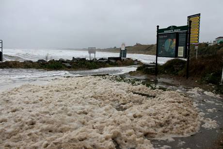 Click on image to see full-sized version Corballis Beach at high tide on December 14, 2012