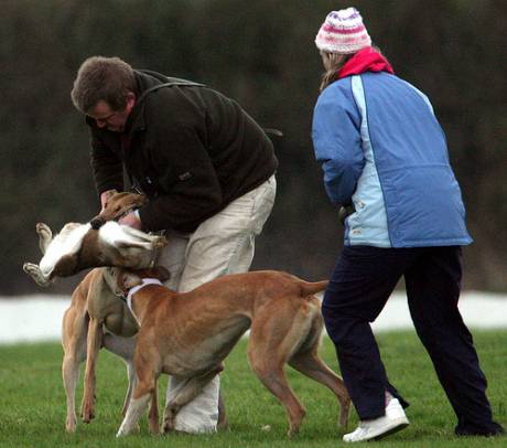 The "sport" that Fine Gael officially condones and supports 