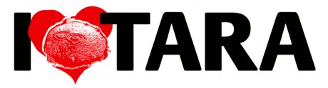 Click on image to see full-sized version lovebumper_3.jpg