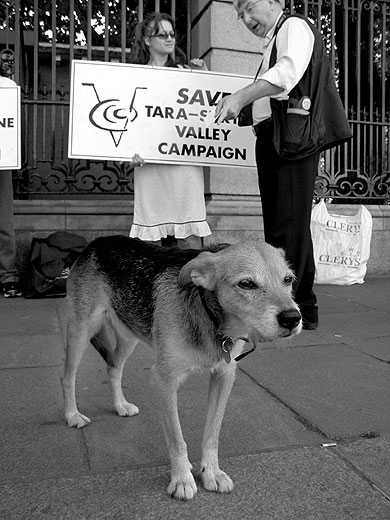 Dylan, Heritage Activist Veteran of Carrickmines, Tara & Trim Castle