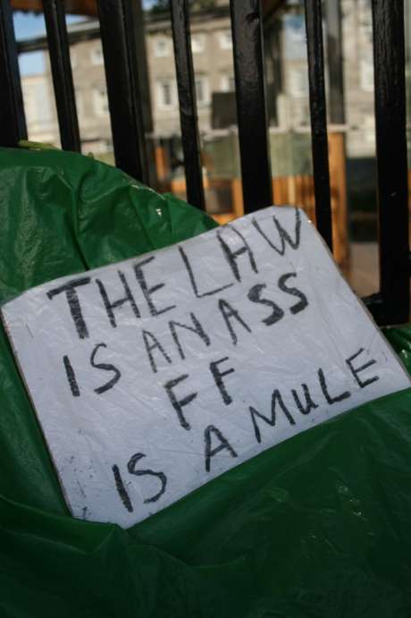 laws_and_asses.jpg