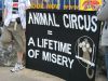 duffys_circusdogs_011.jpg