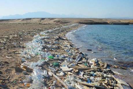 Click on image to see full-sized version Plastic along our coast...
