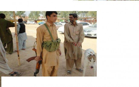 Animal welfare campaigners are also pressing for a coursing ban in Pakistan