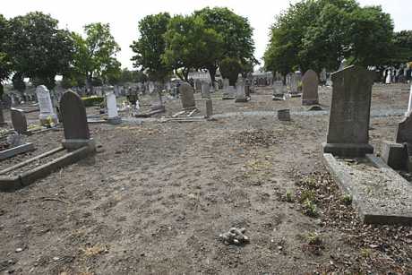 Bethany Home common grave area - Mount Jerome cemetary