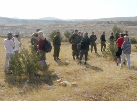 olive_picking_2008_forces_of_occupation.jpg