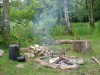 wood_1.jpg