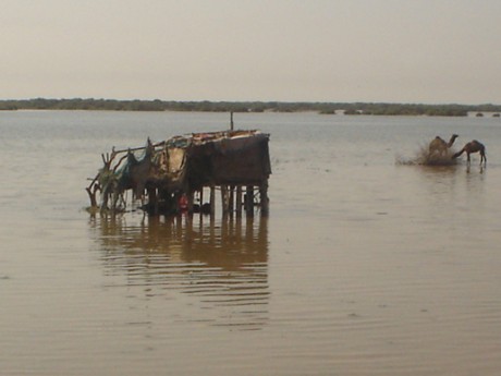 Sea intrusion in thatta Sindh