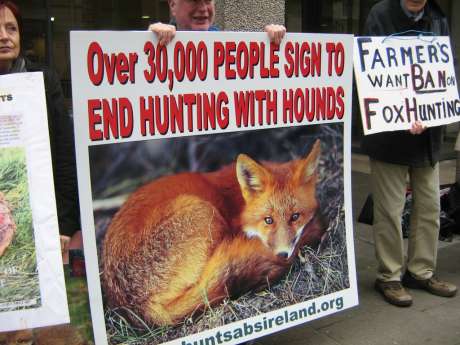 Click on image to see full-sized version WE keep fighting for hunted animals